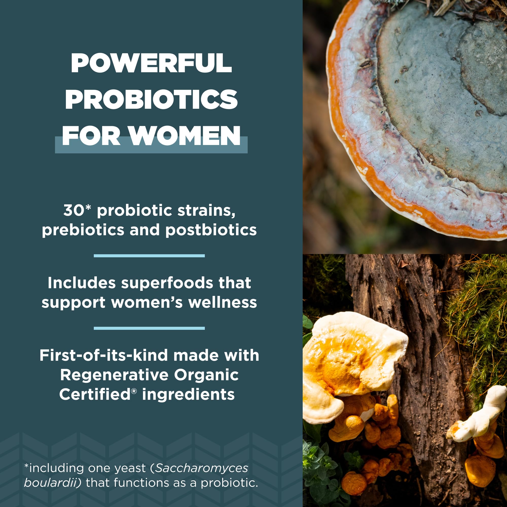 Ancient Nutrition 30-strain probiotic blend highlighting digestive support.