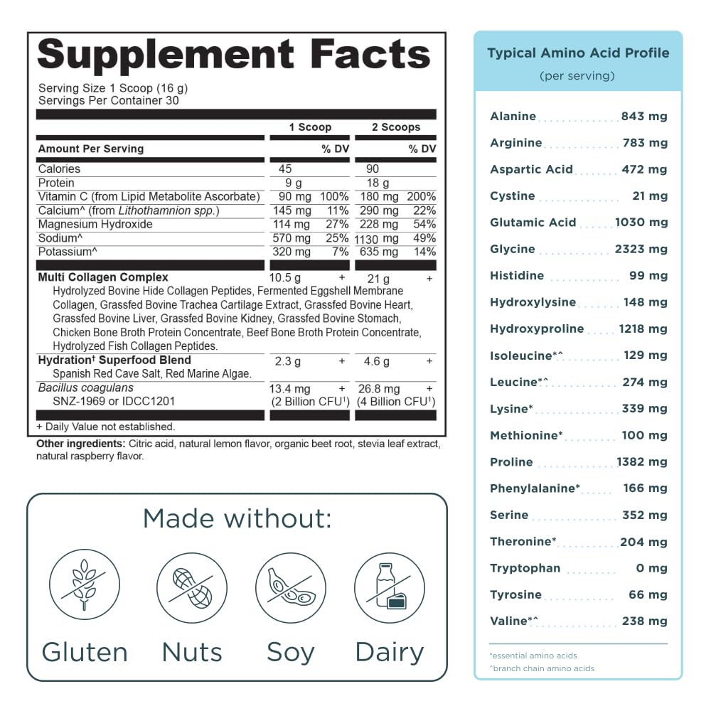 Ancient Nutrition Advanced Multi Collagen Hydrate SBO probiotics image indicates gut-friendly hydration
