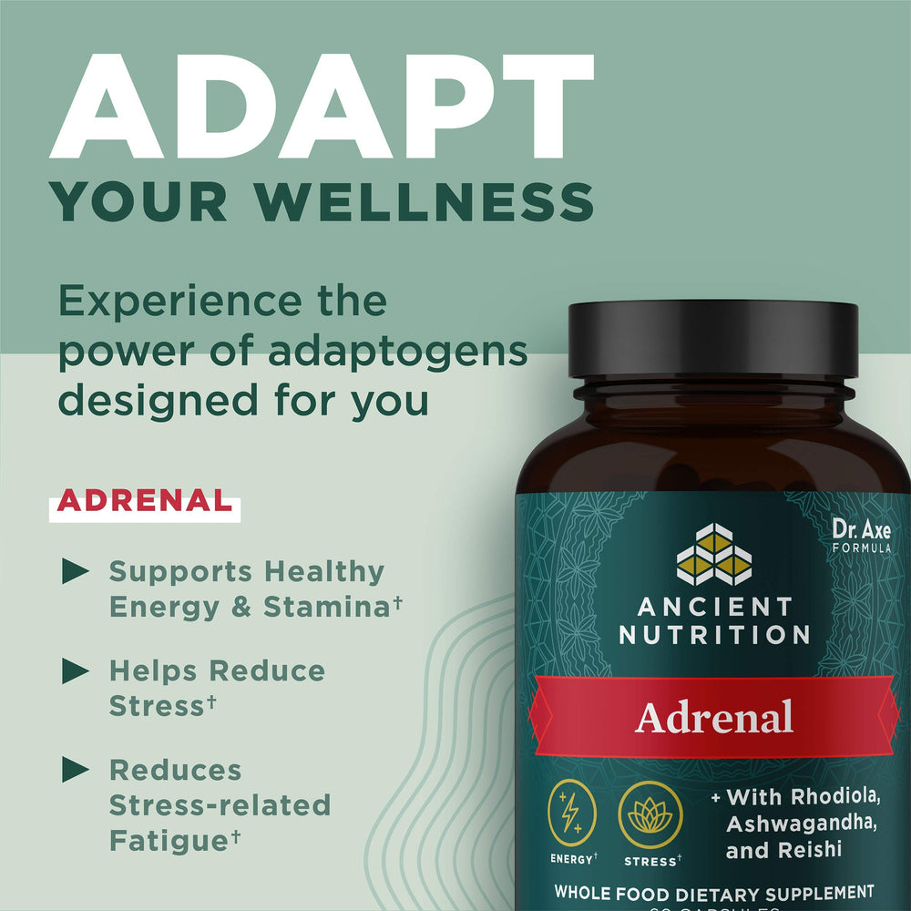 Person holding Ancient Nutrition Adrenal Support bottle shows portable daily capsules