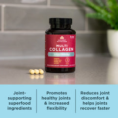Ancient Nutrition capsules in hand suggesting convenient daily use.