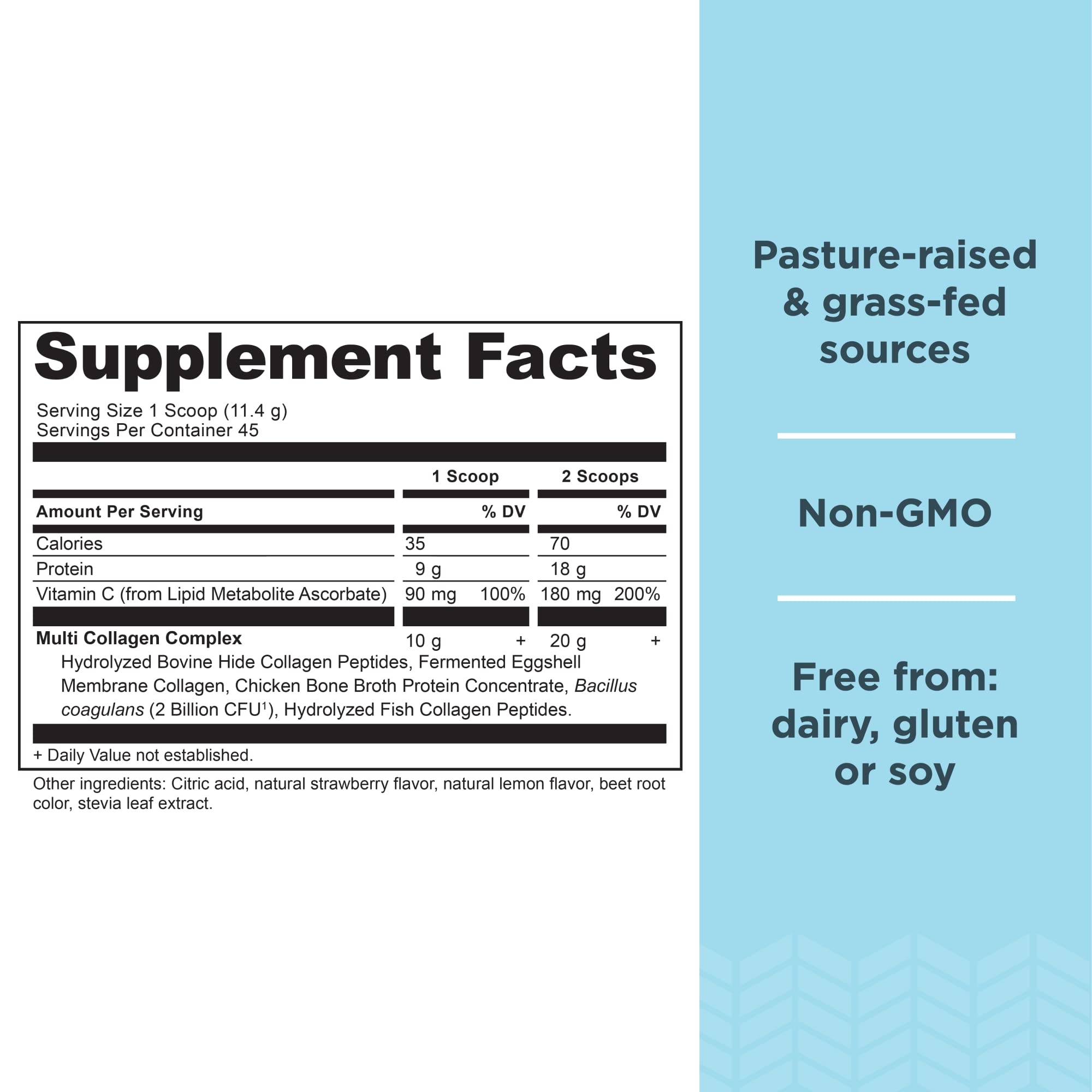 Ancient Nutrition collagen probiotics powder scoop ready to mix into drinks