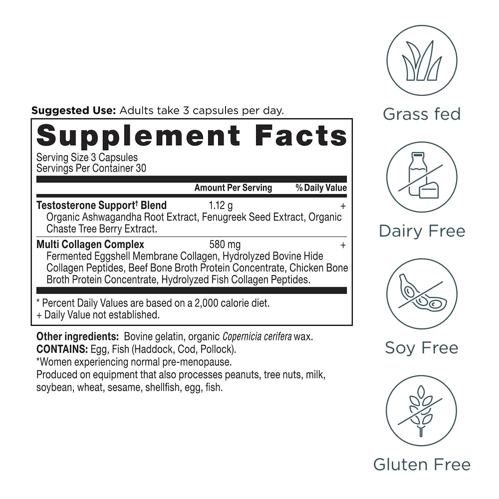 Ancient Nutrition packaging graphic highlights 10 collagen types from five real-food sources.