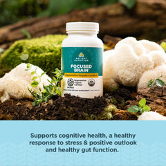 Ancient Nutrition focused brain capsules inside bottle – convenient daily brain support