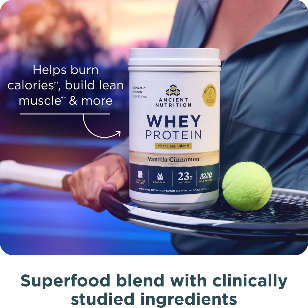 Scoop of Ancient Nutrition powder ready to blend into smoothies