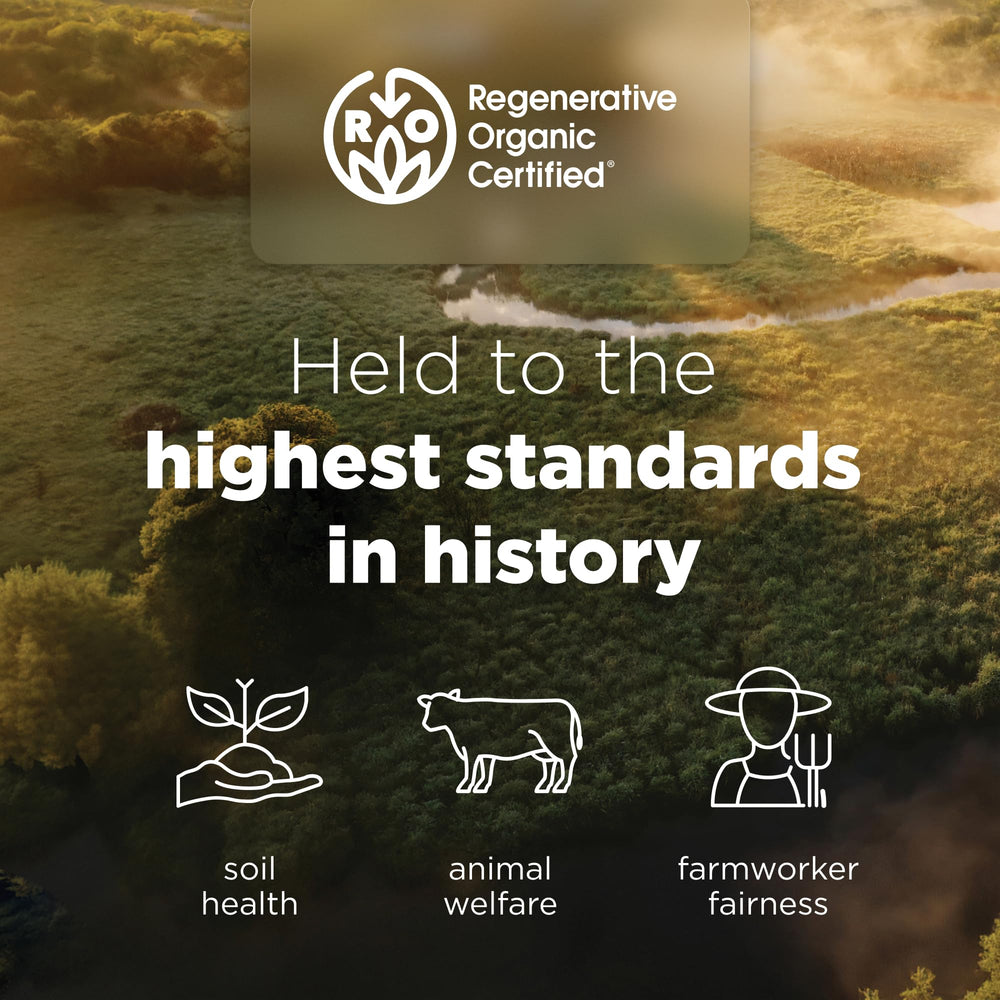 Ancient Nutrition joint support graphic for daily wellness.
