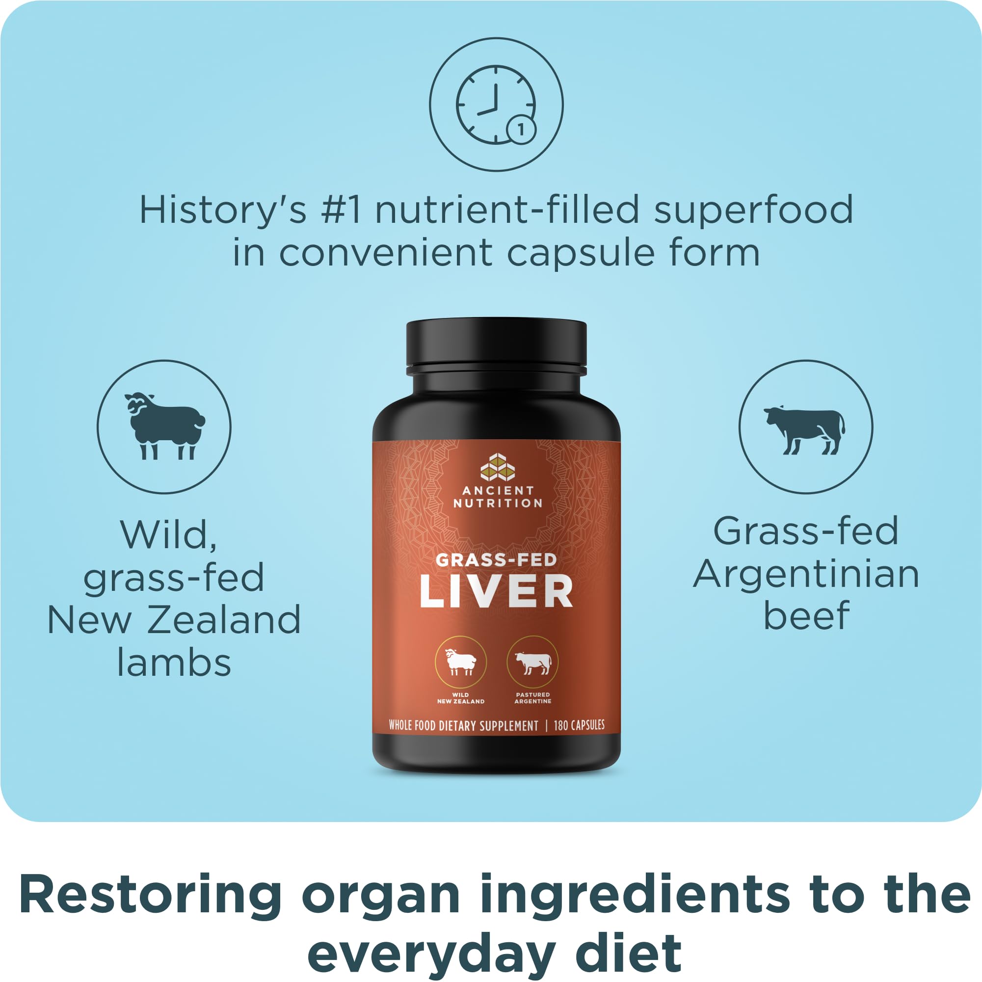 Ancient Nutrition Liver Organ Supplements capsules closeup for easy daily use.