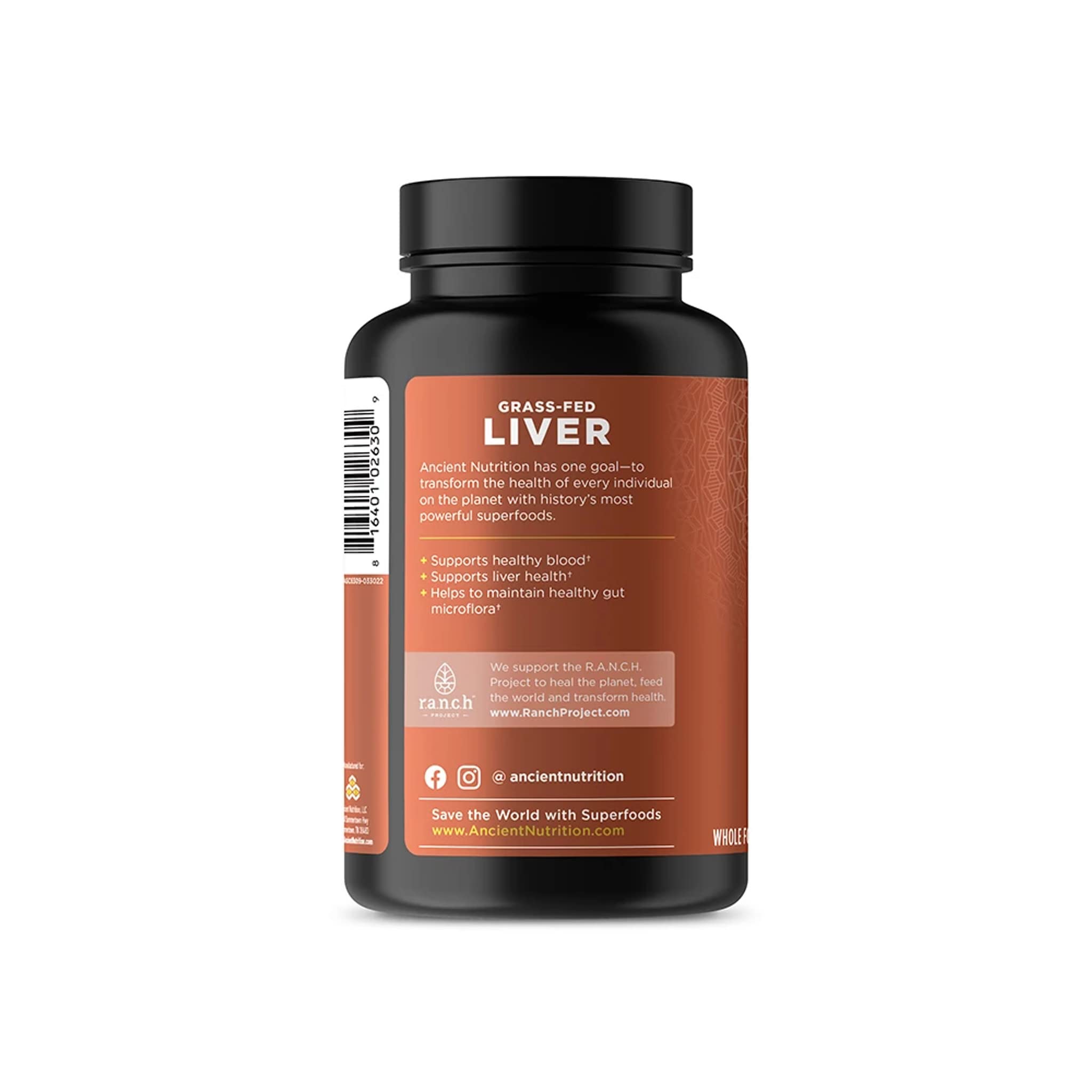Ancient Nutrition Liver Organ Supplements bottle storage for pantry organization.