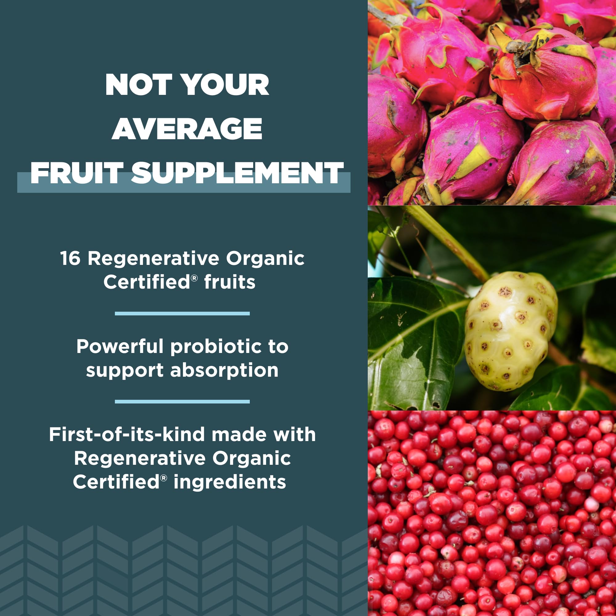 Mulberry fruit close-up from Ancient Nutrition blend offers natural fiber benefits.