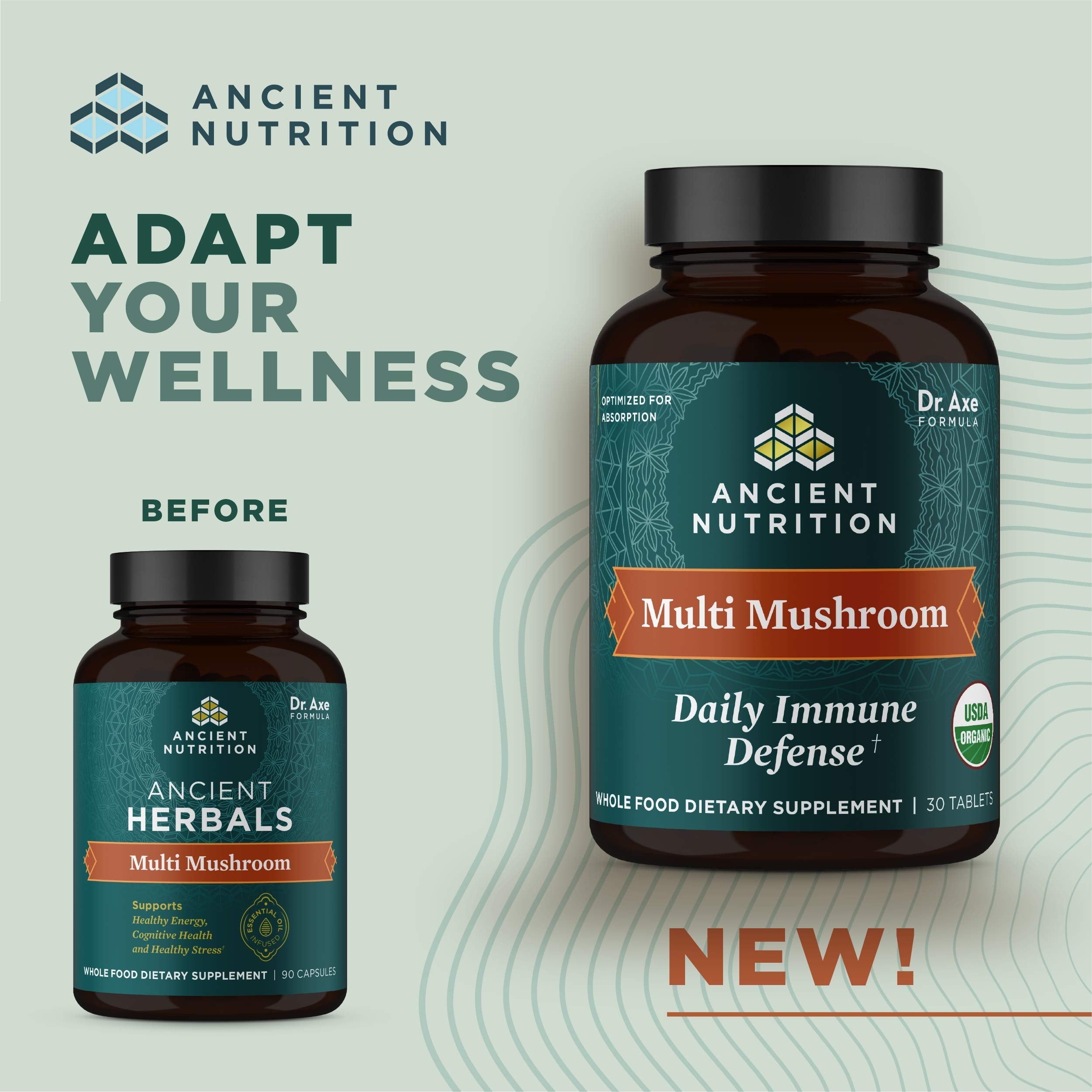 Ancient Nutrition mushroom blend bottle front showing organic formula