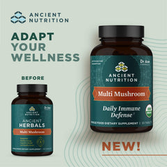 Ancient Nutrition mushroom blend bottle front showing organic formula