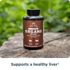 Ancient Nutrition Organ Complex daily-use bottle scene supporting consistency