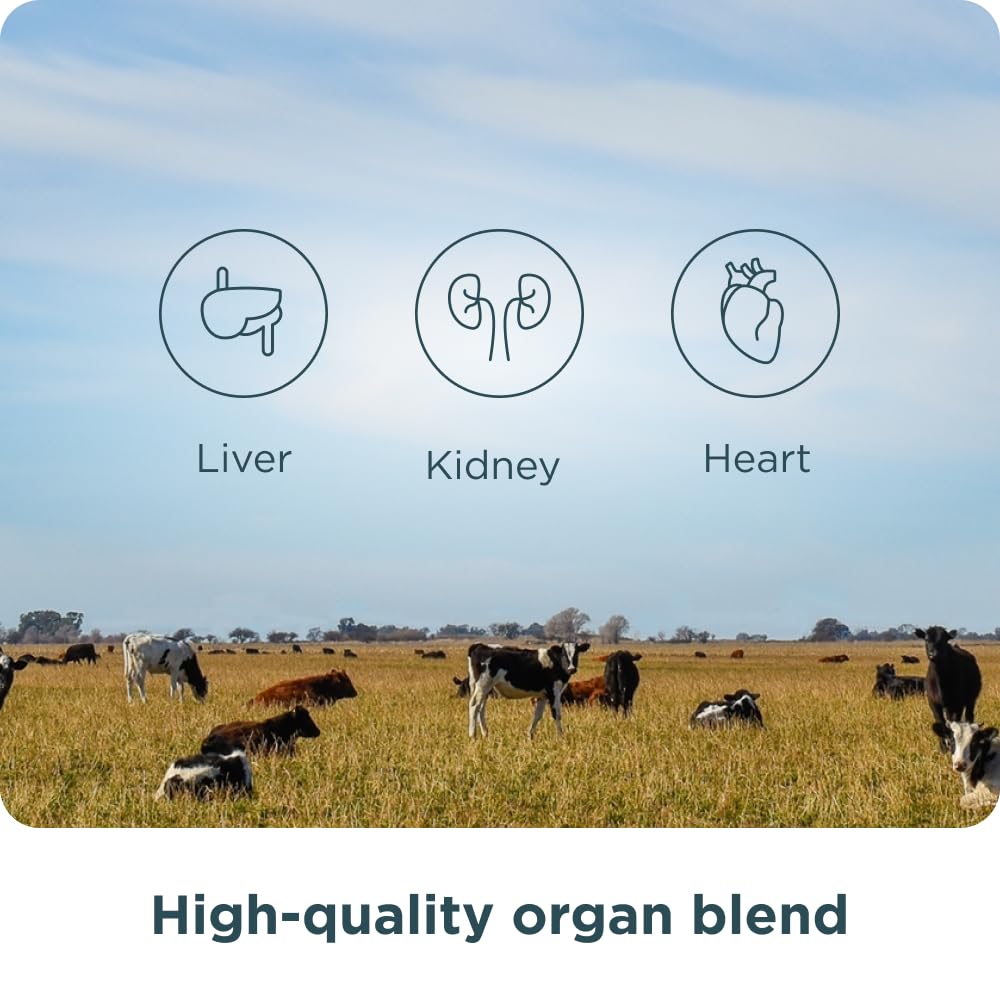 Ancient Nutrition Organ Complex packaging showing ingredients and quality sourcing
