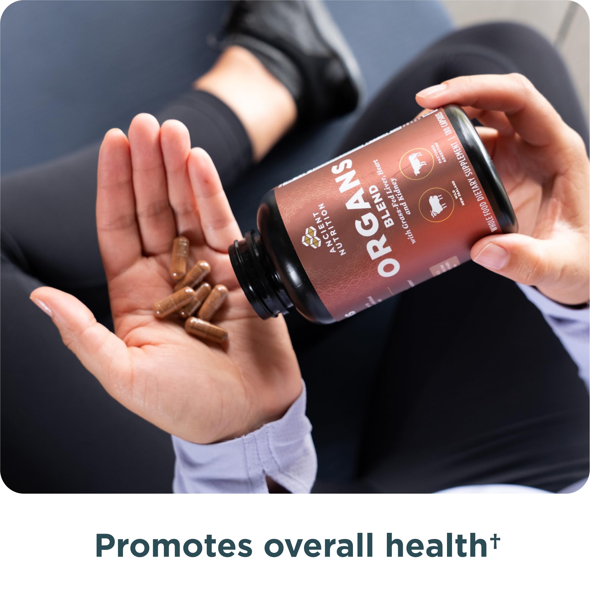 Ancient Nutrition Organ Supplements bottle pour demonstrating simple serving into your day