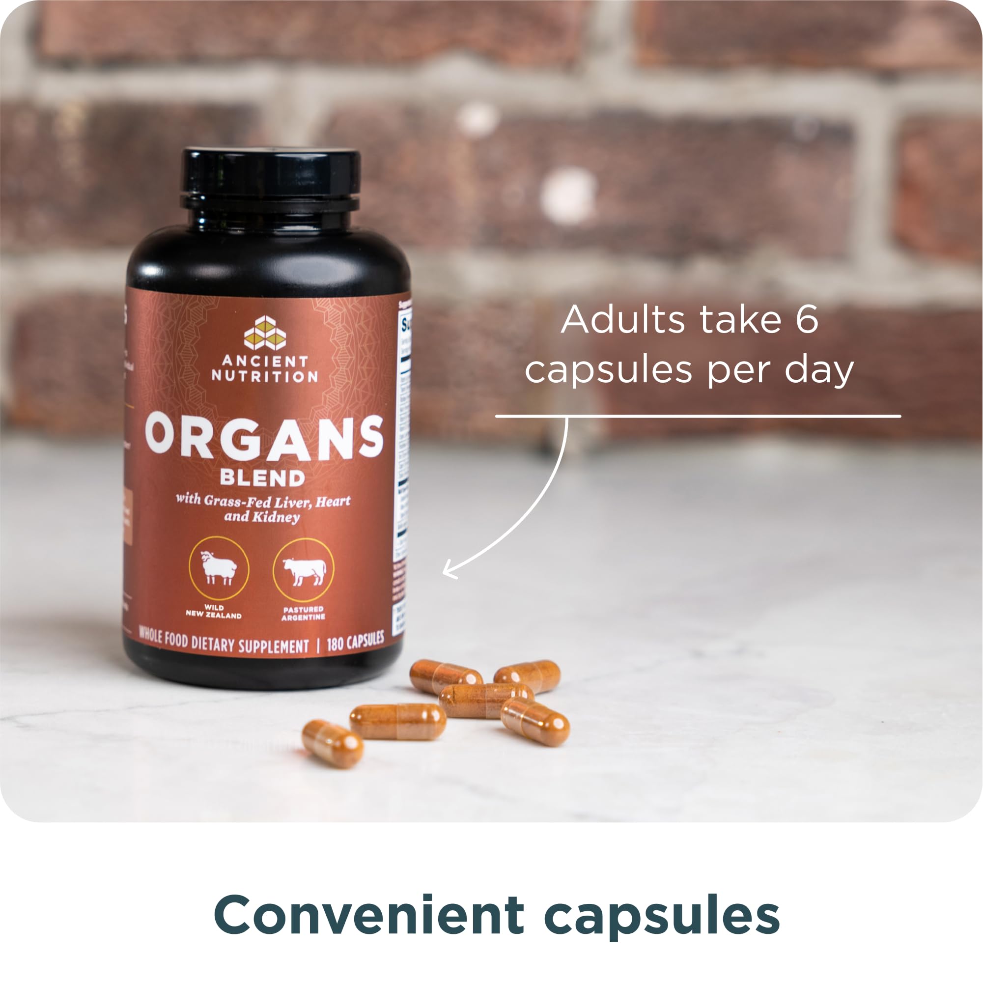 Ancient Nutrition Organ Supplements eco-friendly packaging appeals to sustainable shoppers