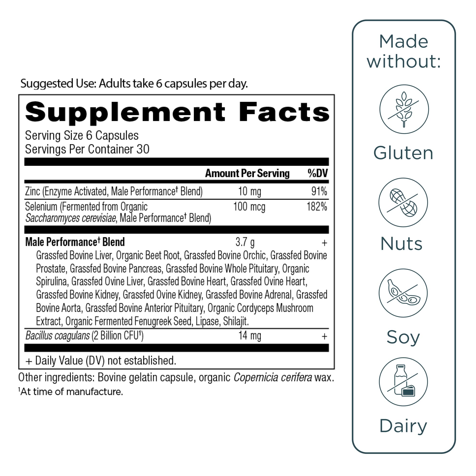 Ancient Nutrition Organs capsules closeup for easy daily dosing.