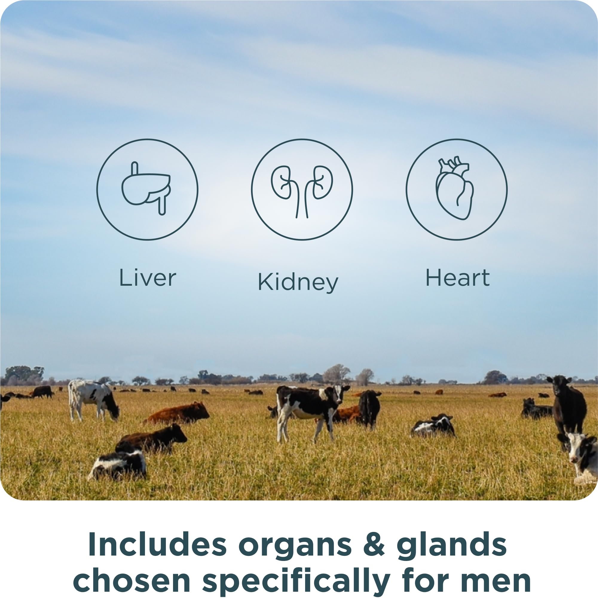 Ancient Nutrition Organs grass-fed-origin packaging emphasizing quality bovine organ sources.