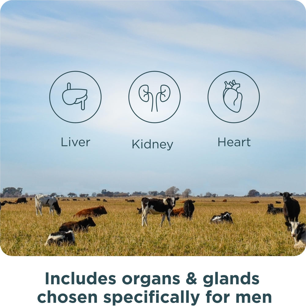 Ancient Nutrition Organs grass-fed-origin packaging emphasizing quality bovine organ sources.