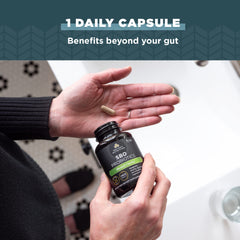 Ancient Nutrition Probiotics daily-use bottle ready for routine