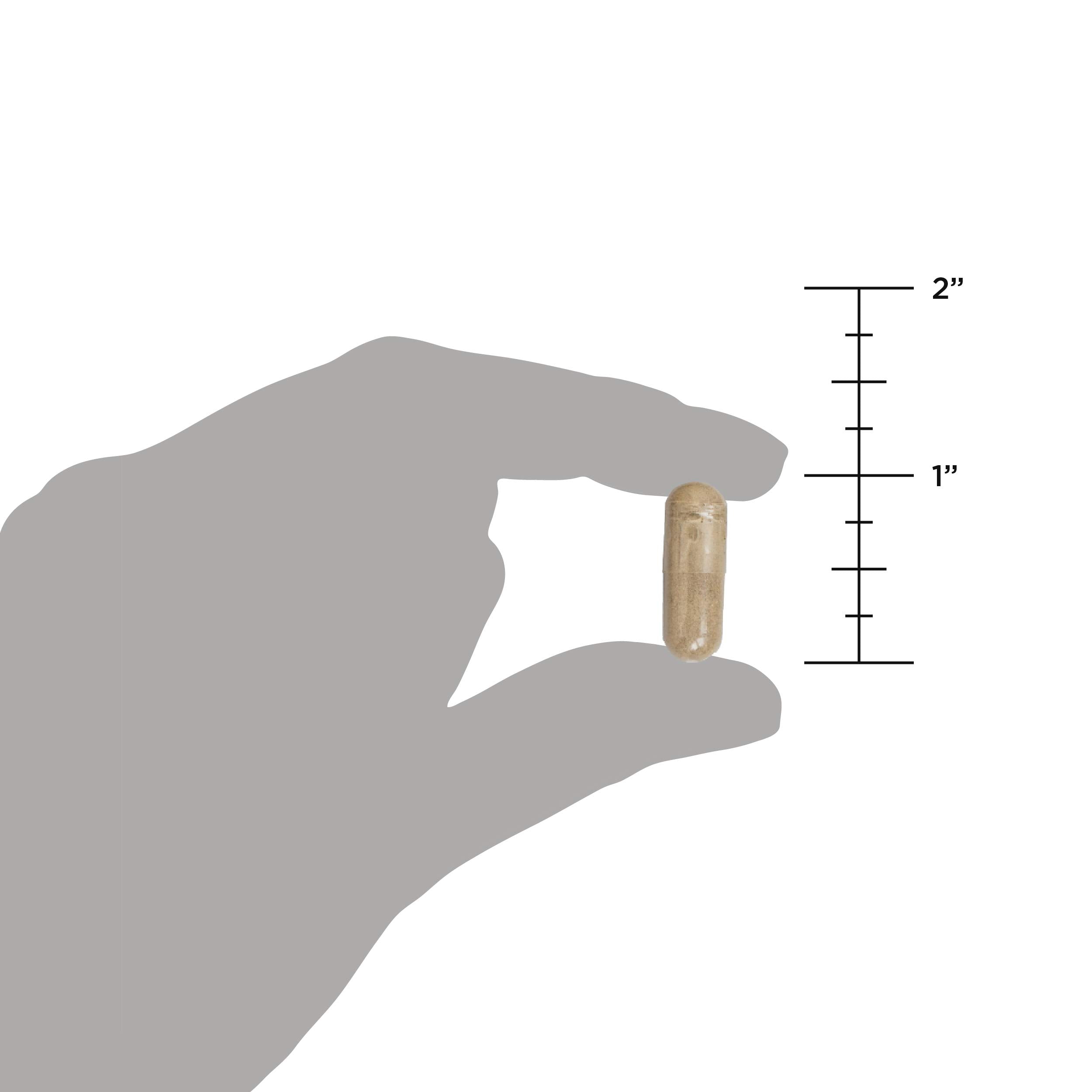 Gluten-free symbol on Ancient Nutrition Probiotics Ultimate bottle for allergen awareness.