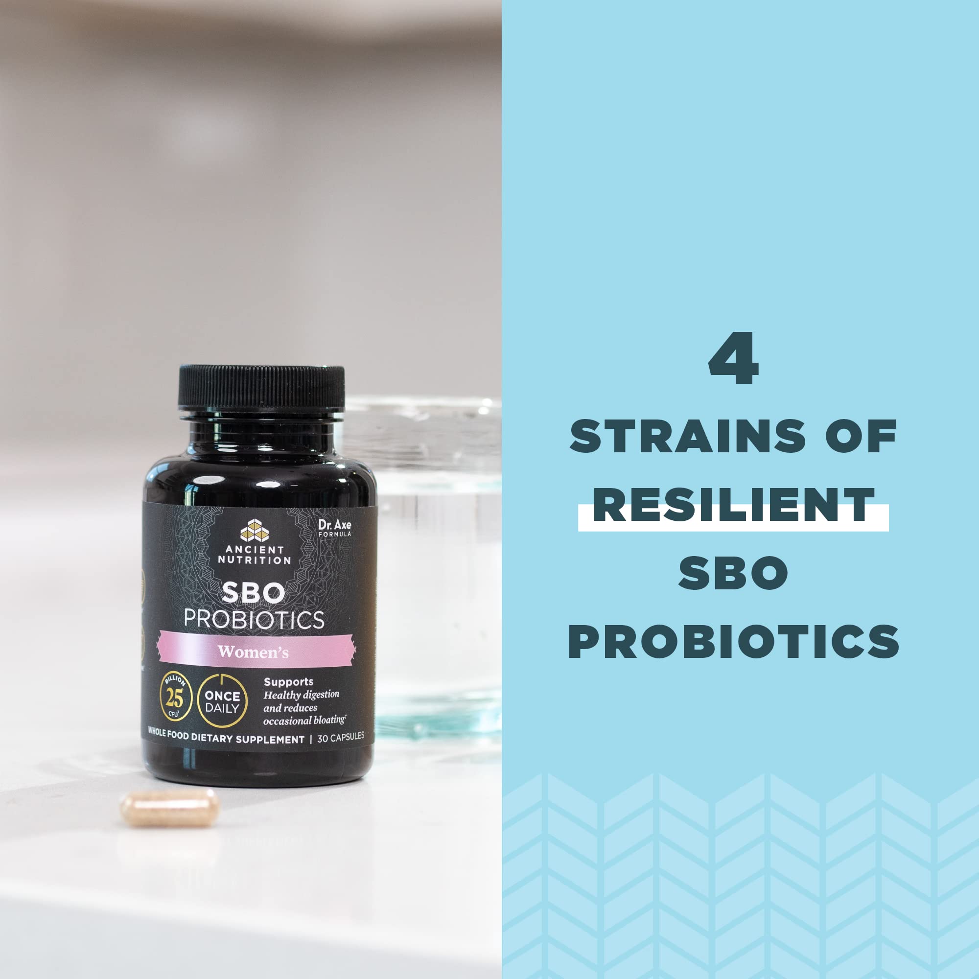 Amla berry ingredient spotlight in Ancient Nutrition women probiotic