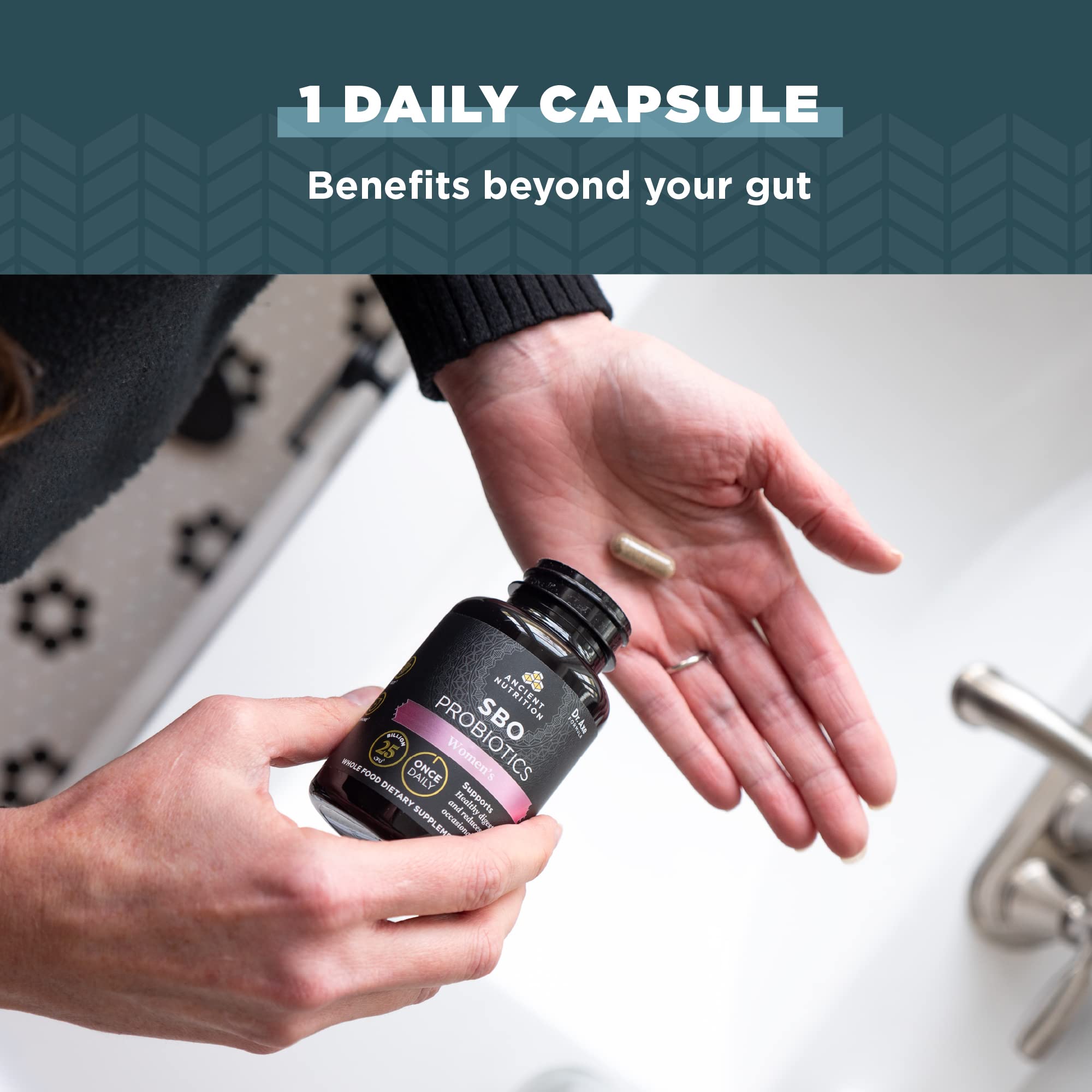 Chaste tree berry ingredient within Ancient Nutrition probiotic blend