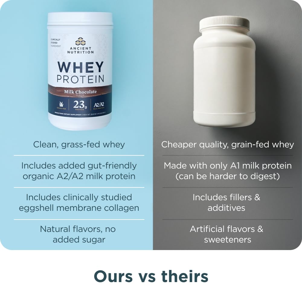Ancient Nutrition protein blend ingredients displayed in a bowl for clarity.