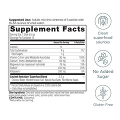Ancient Nutrition Rapid Hydration stick packs for on the go hydration anywhere