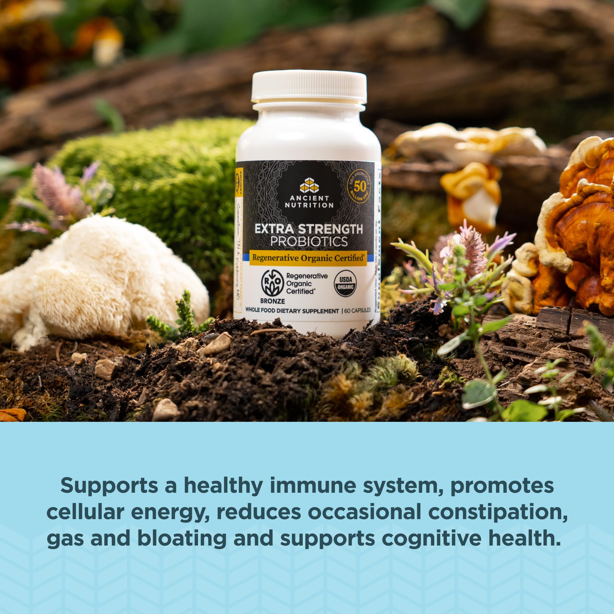 Ancient Nutrition probiotics capsules close-up showing easy-to-swallow capsules