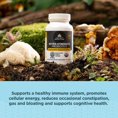 Ancient Nutrition probiotics capsules close-up showing easy-to-swallow capsules