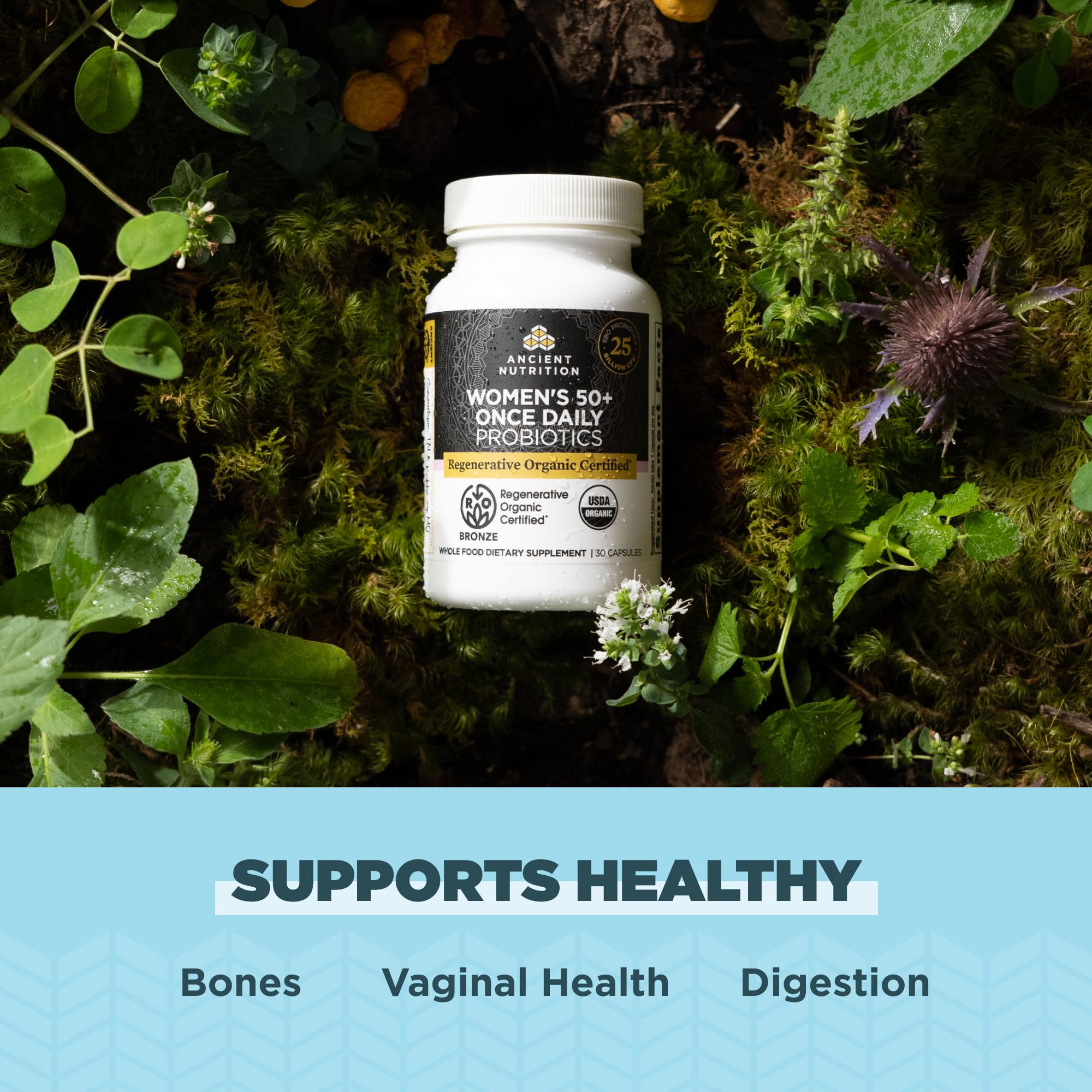 Capsules of Ancient Nutrition probiotics ready for daily use