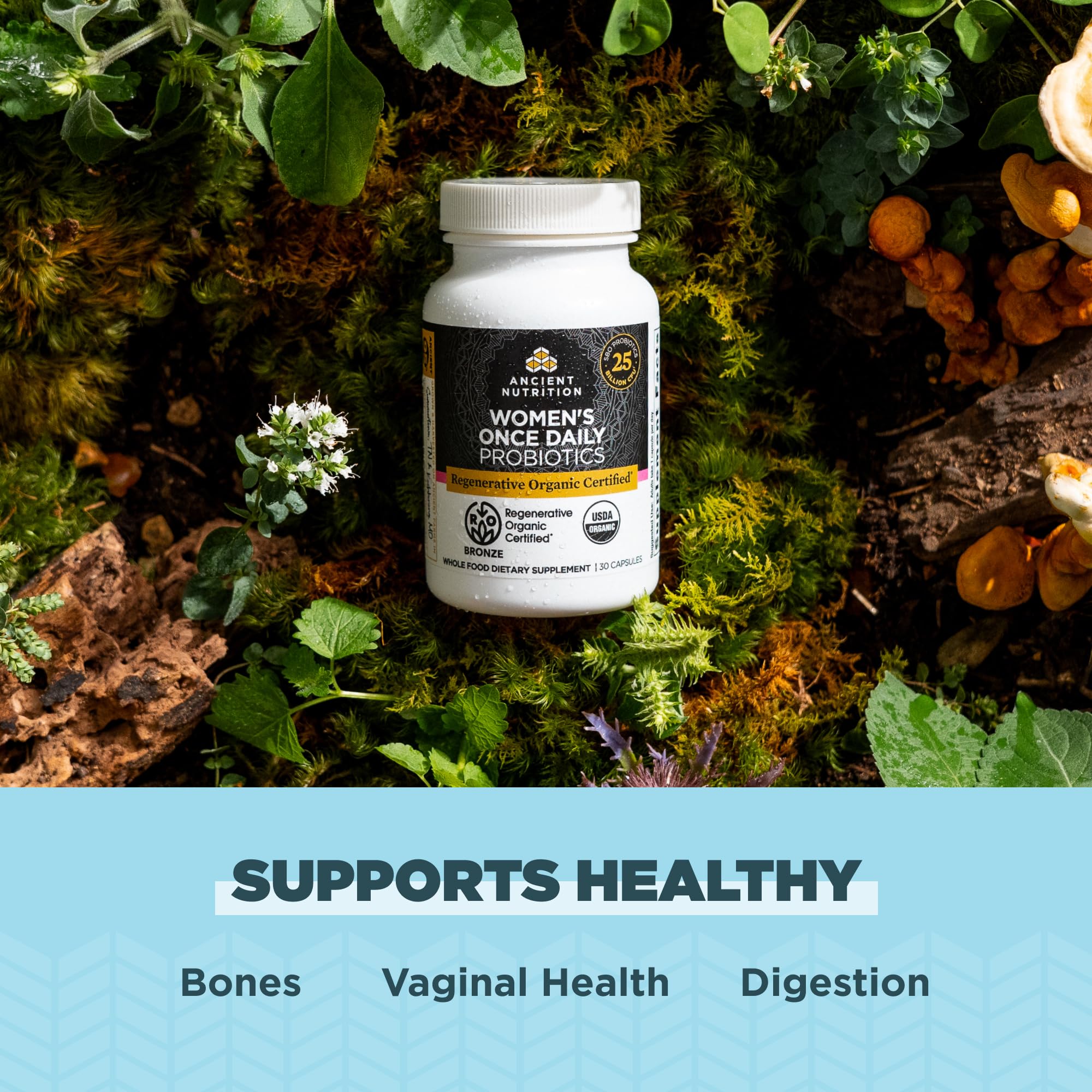 Ancient Nutrition reishi mushroom mycelium visual for balance and wellness.