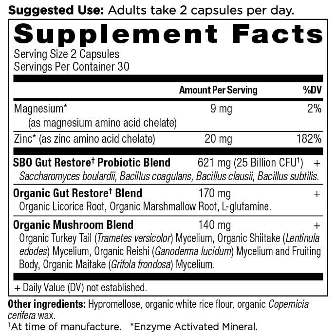 Ancient Nutrition SBO Gut Restore capsules close-up for daily digestion.