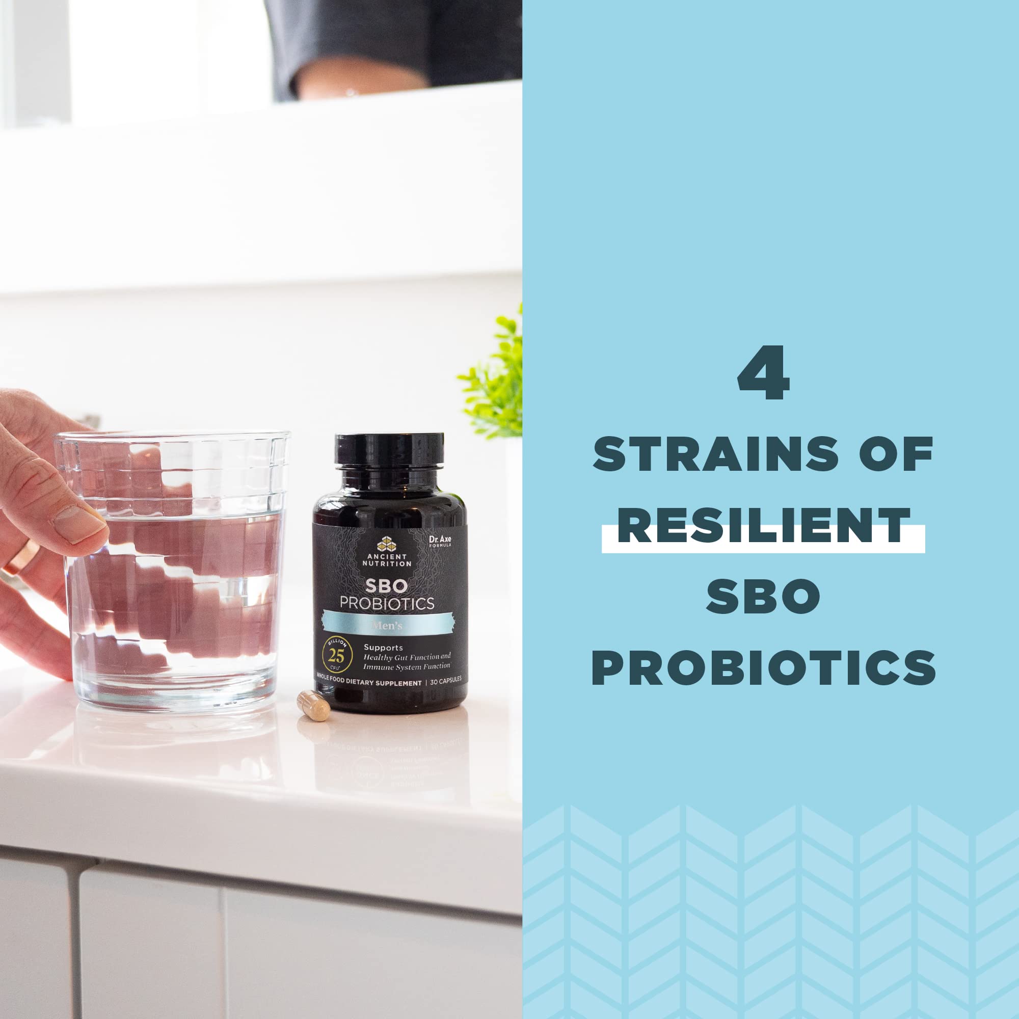 Graphic showing gut health with capsules signaling digestive support