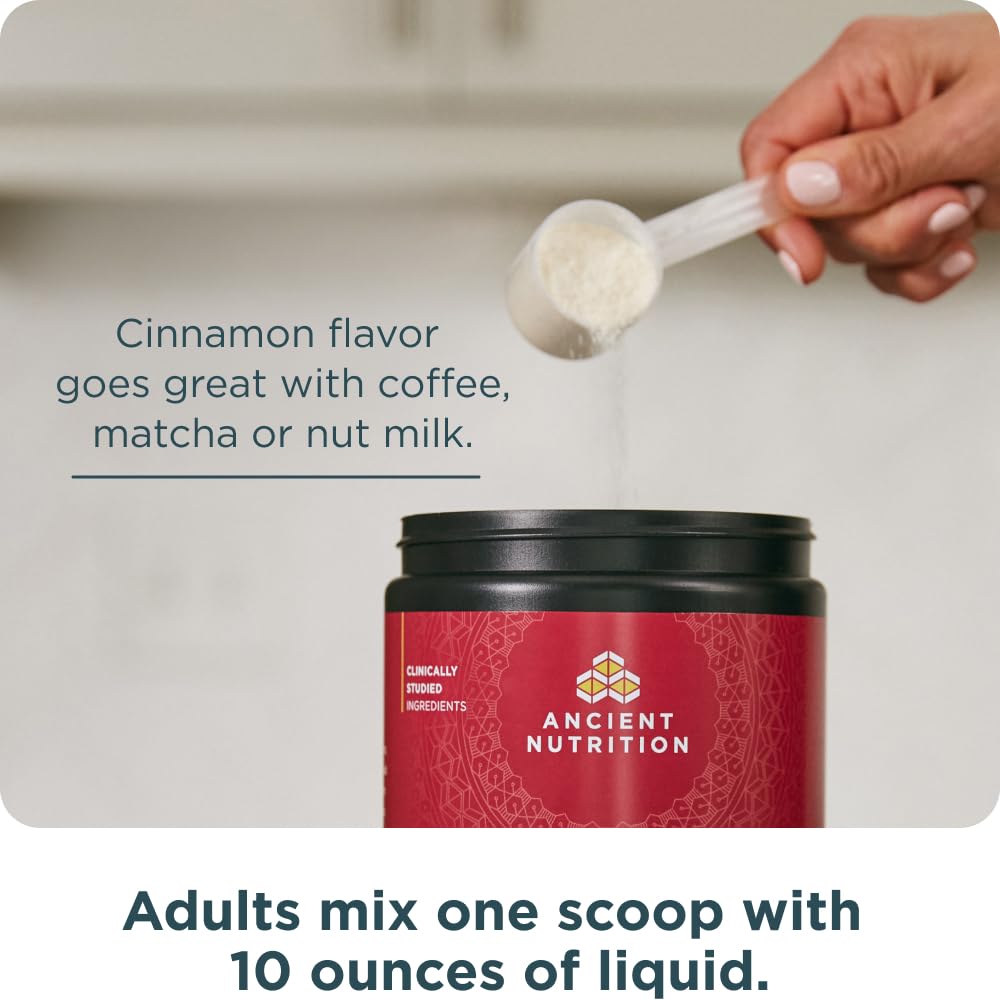 Ancient Nutrition scoop with powder supports convenient daily protein intake.