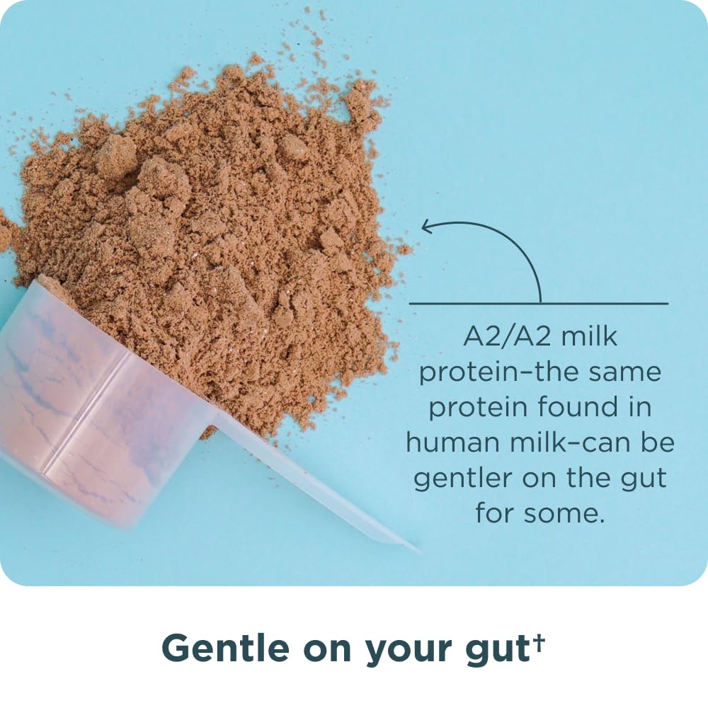 Ancient Nutrition shake being mixed in a glass for a post-workout.