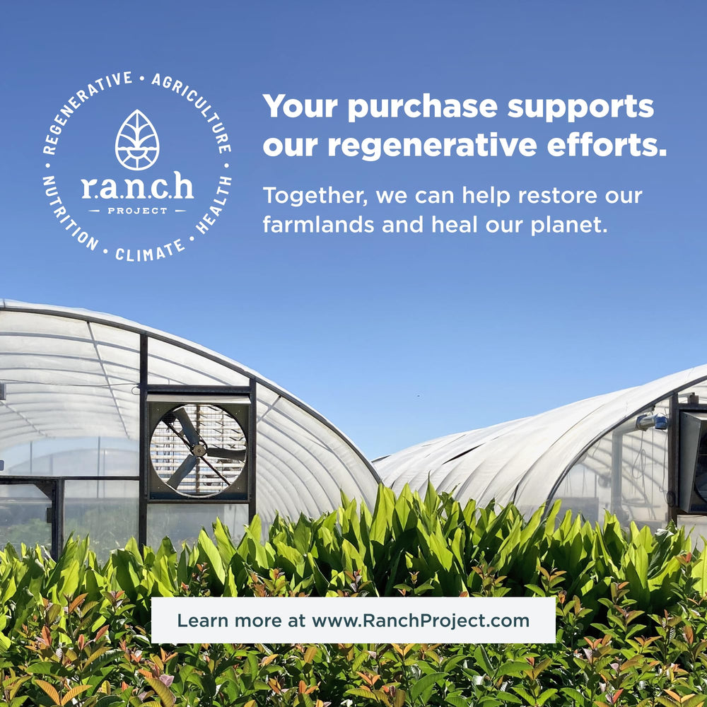 Ancient Nutrition shelf display showing allergy friendly benefits