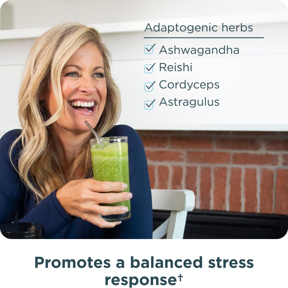 Ancient Nutrition Super Greens ingredients spirulina and chlorella illustrate nutrient-dense greens