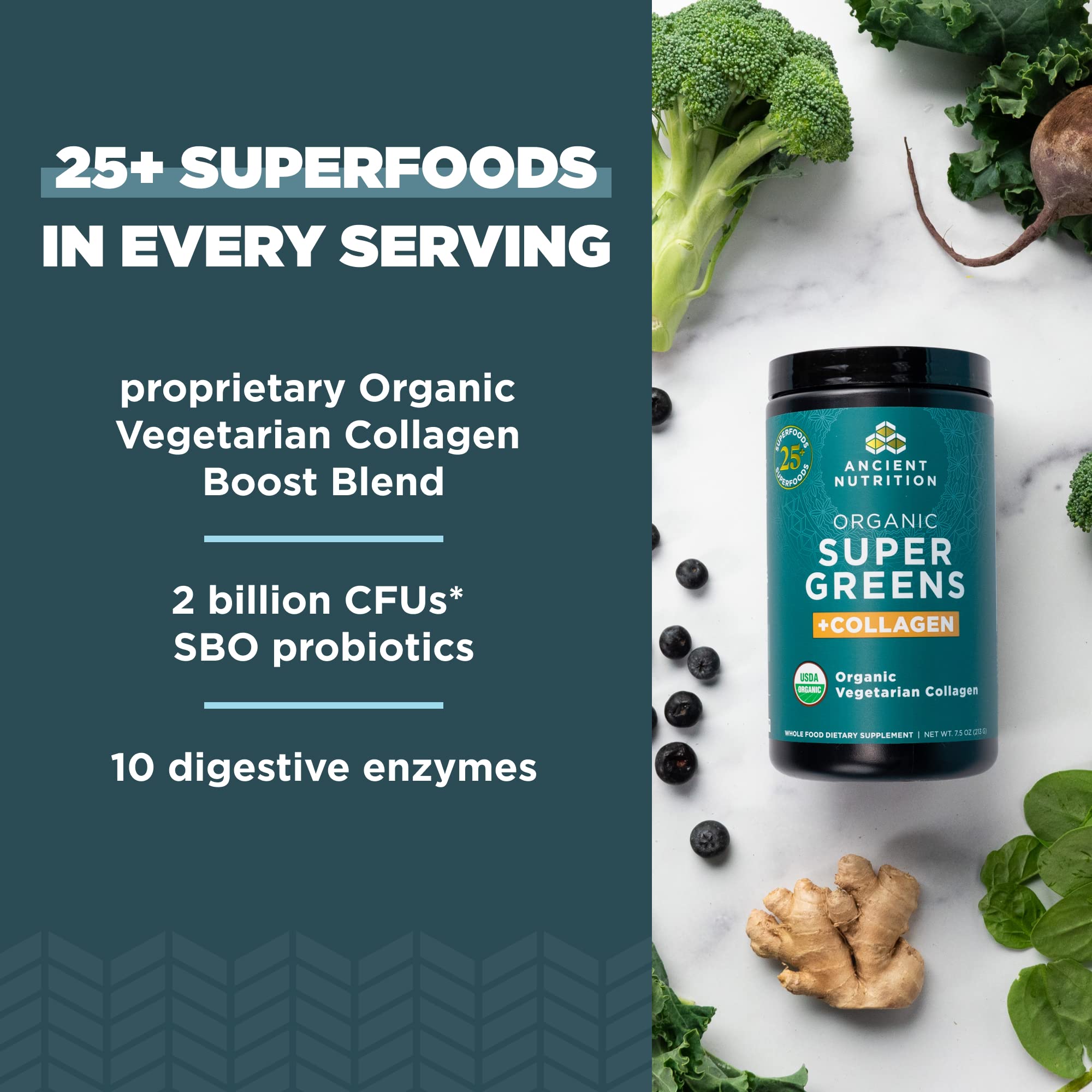 Ancient Nutrition Supergreens scoop ready to add to water or smoothie for daily greens