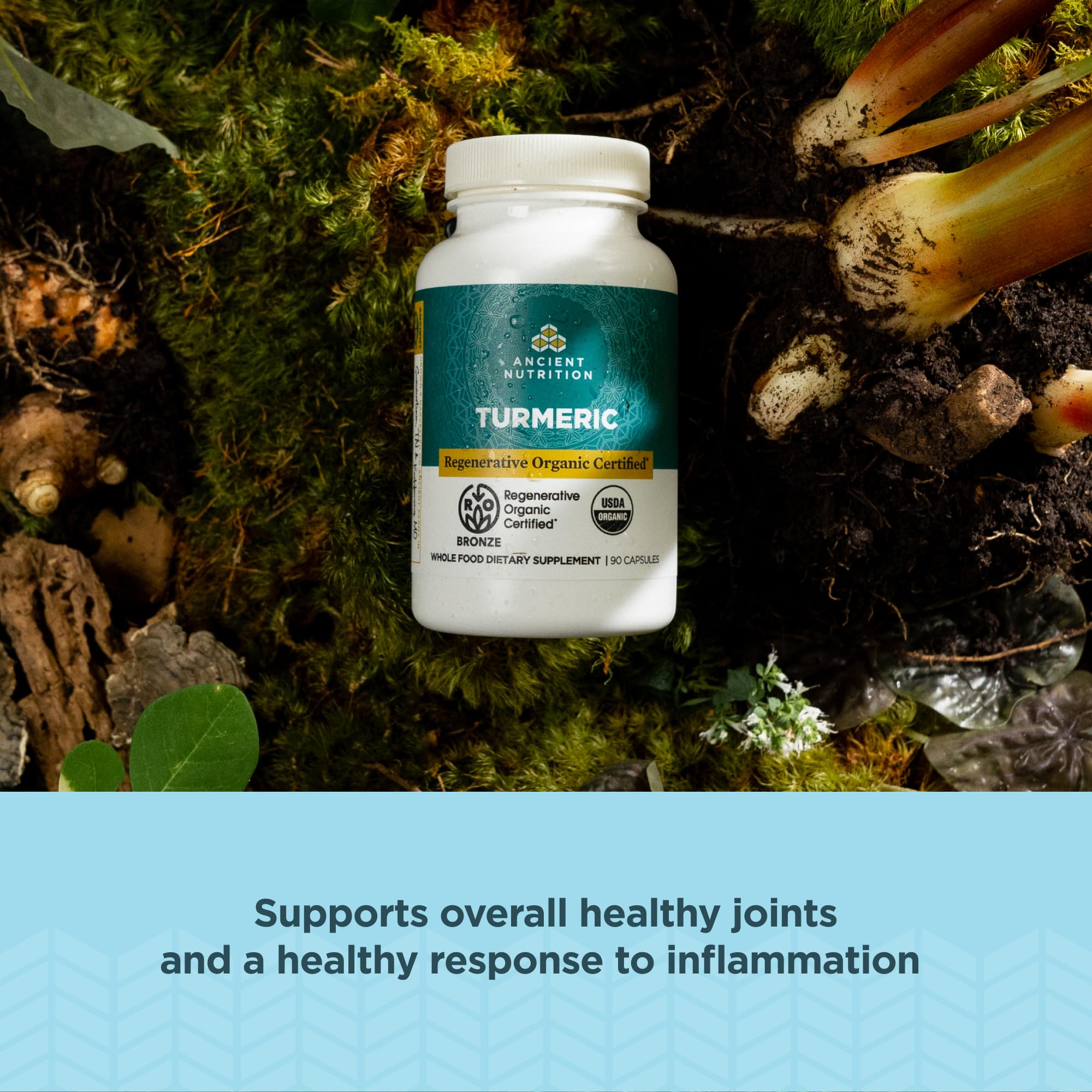 Ancient Nutrition turmeric capsules close-up showing glossy capsules.