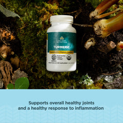 Ancient Nutrition turmeric capsules close-up showing glossy capsules.