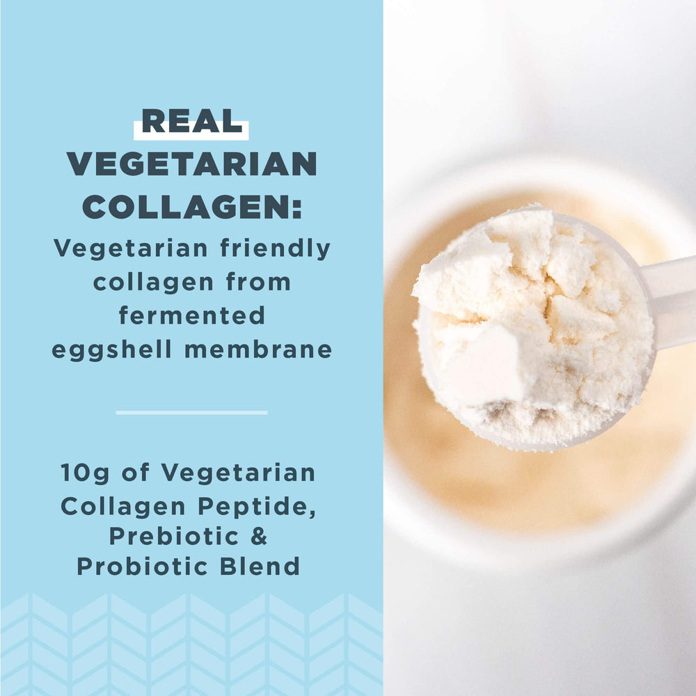 Ancient Nutrition collagen peptides scoop and powder ready to blend into smoothies