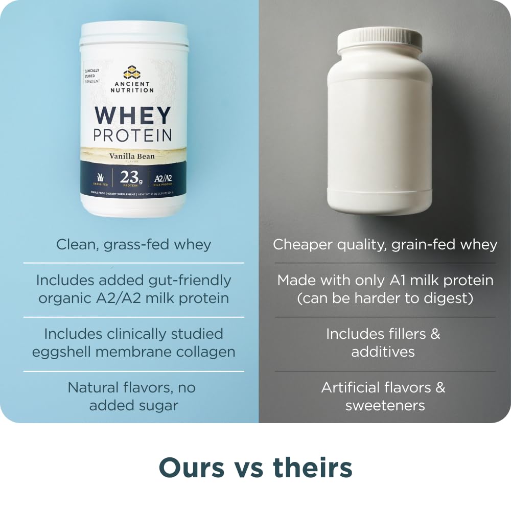Ancient Nutrition Whey Vanilla Serving Scoop illustrates precise daily protein measurement