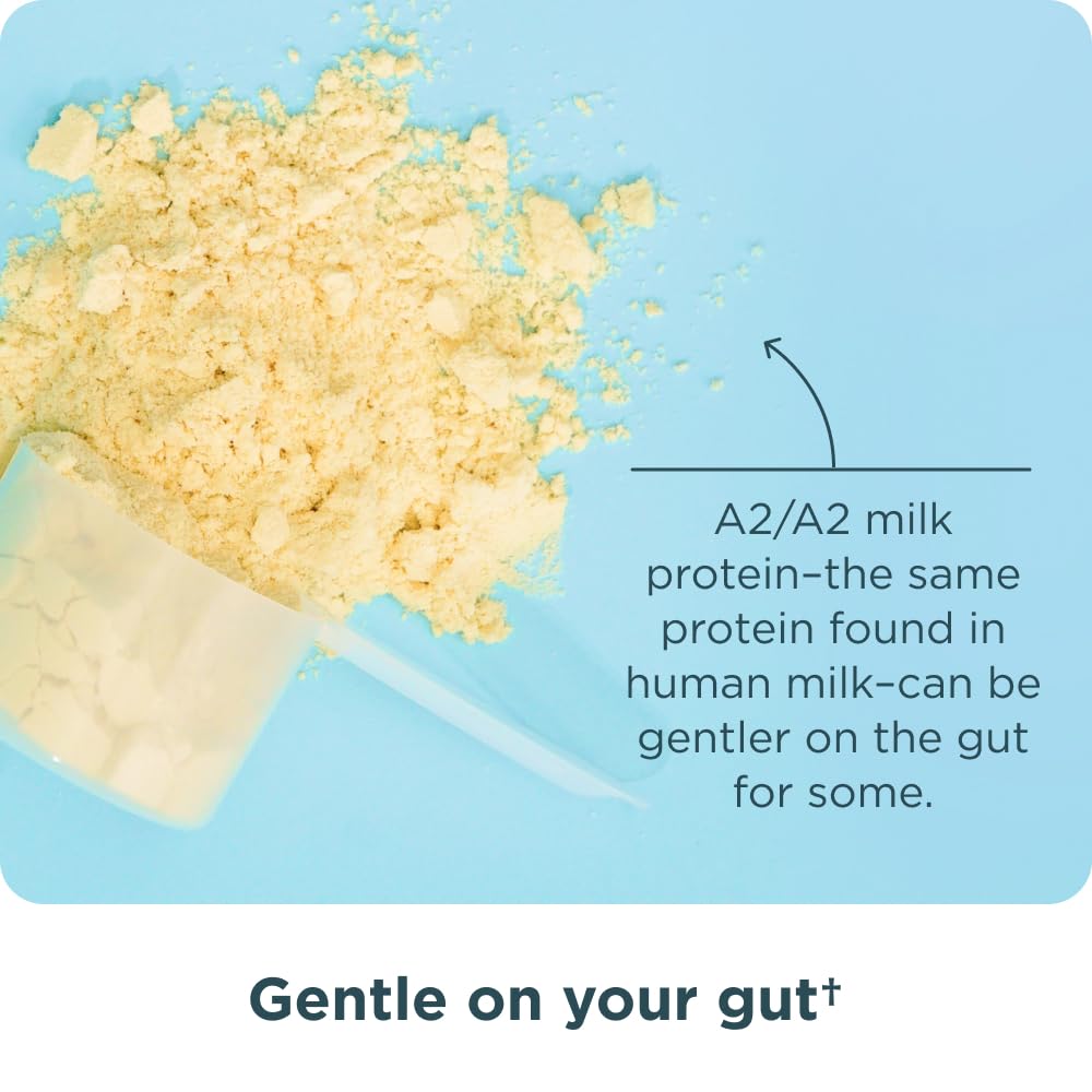 Ancient Nutrition Whey Vanilla Shake Glass presents a creamy post-workout beverage