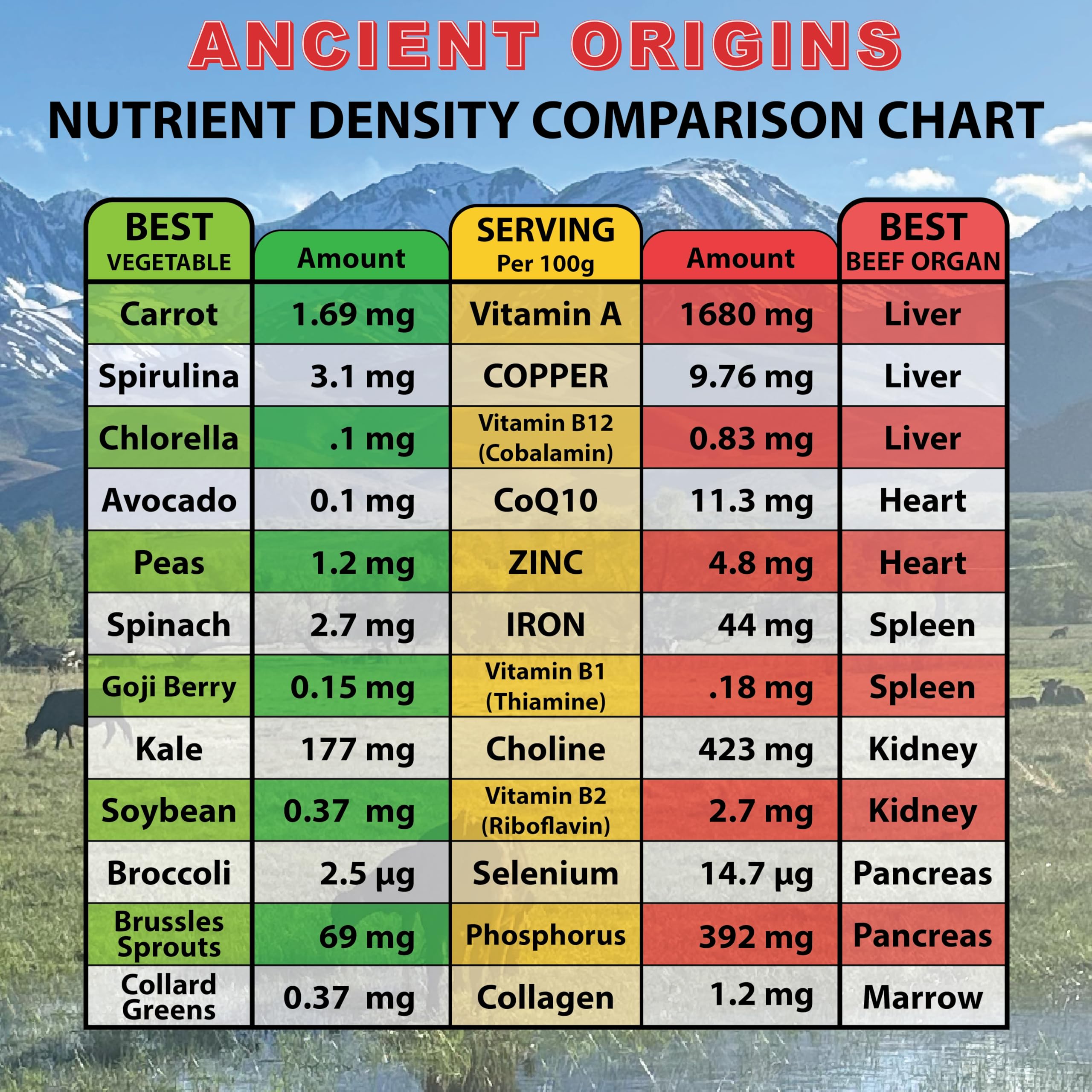Ancient Origins product on pantry shelf signaling long-term use