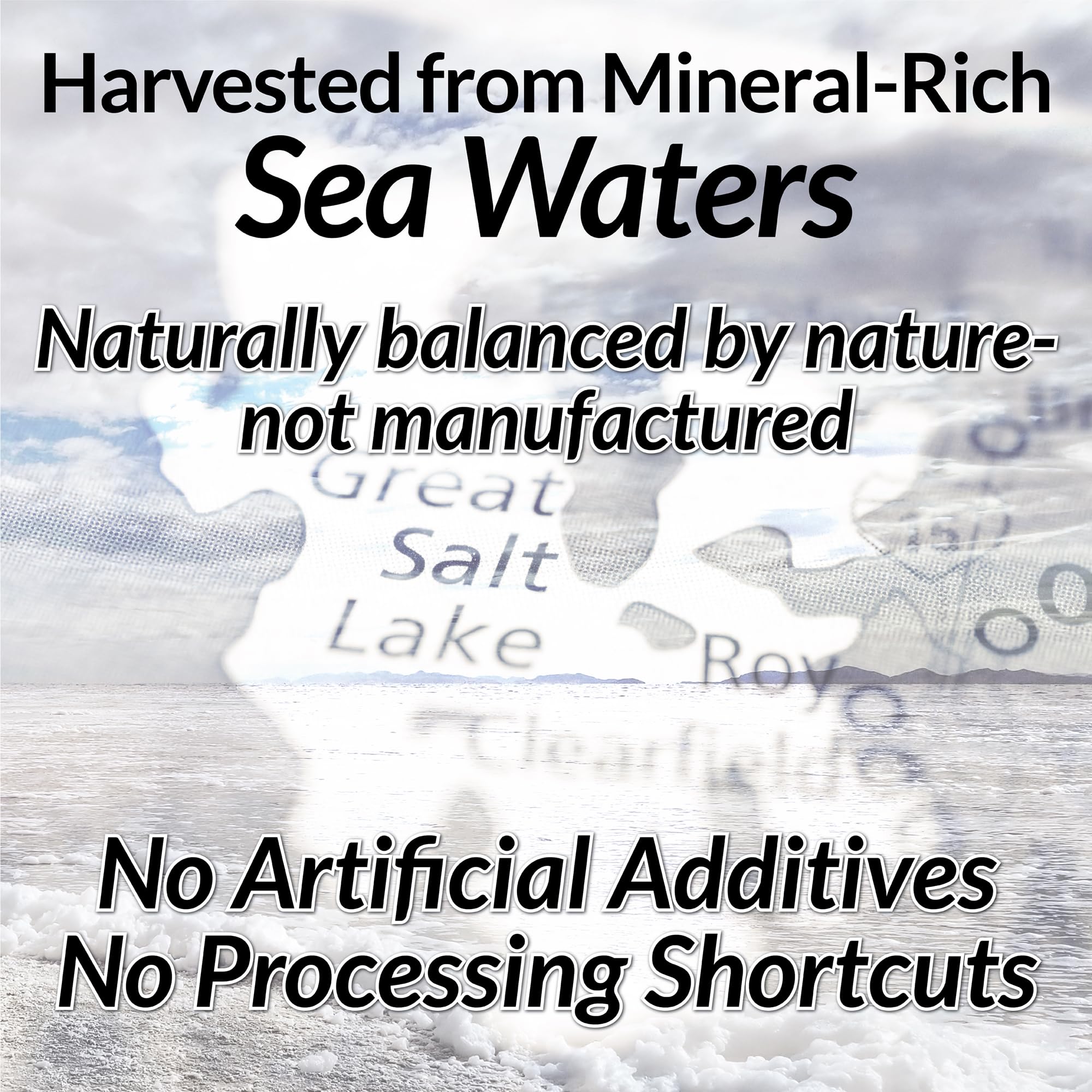 Anderson Sea M.D. mineral chart highlighting 79 minerals