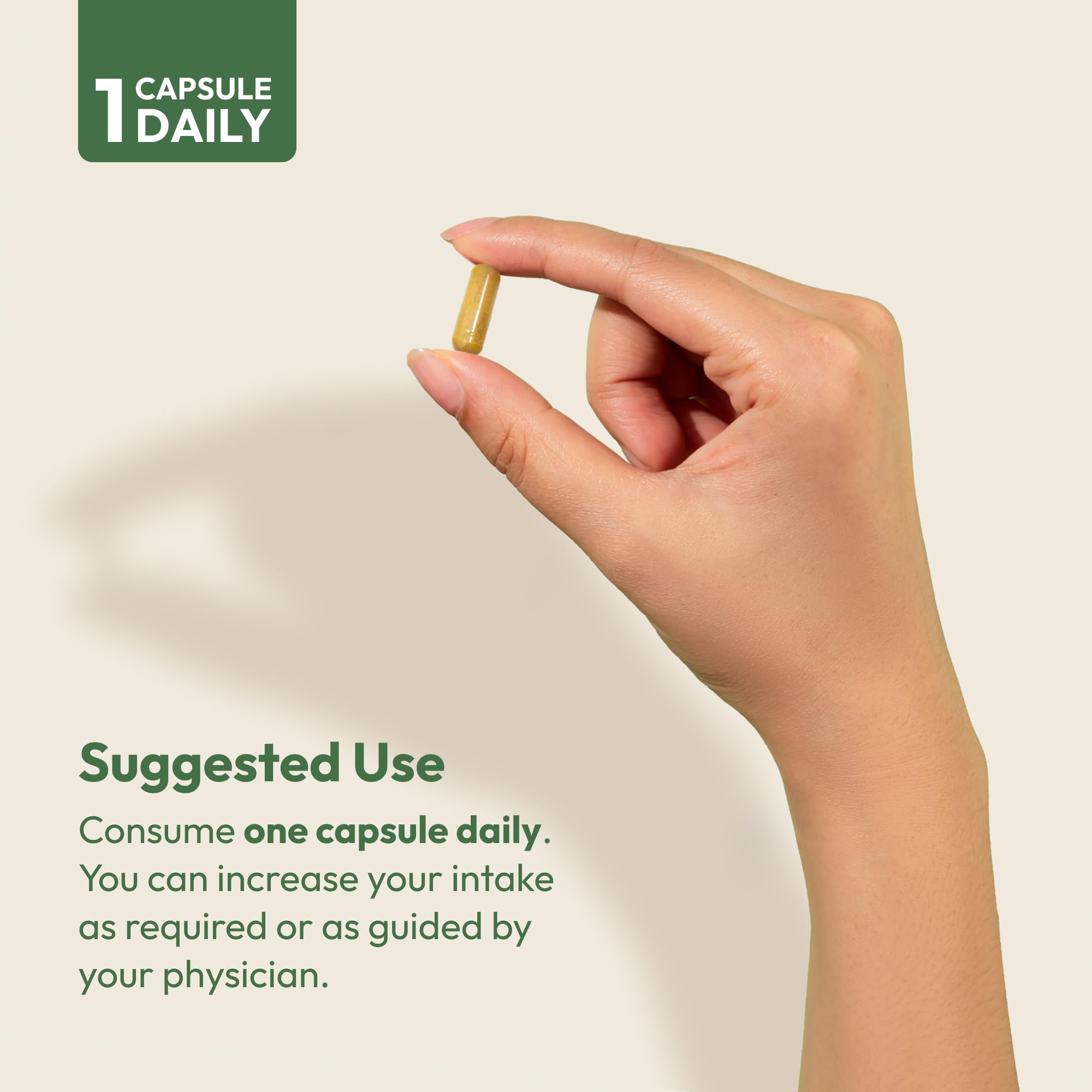 andrew lessman b vitamins b5 b6 and b12 are highlighted for energy and metabolism support.