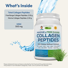 Andrew Lessman free-range collagen bottle on kitchen counter for daily use