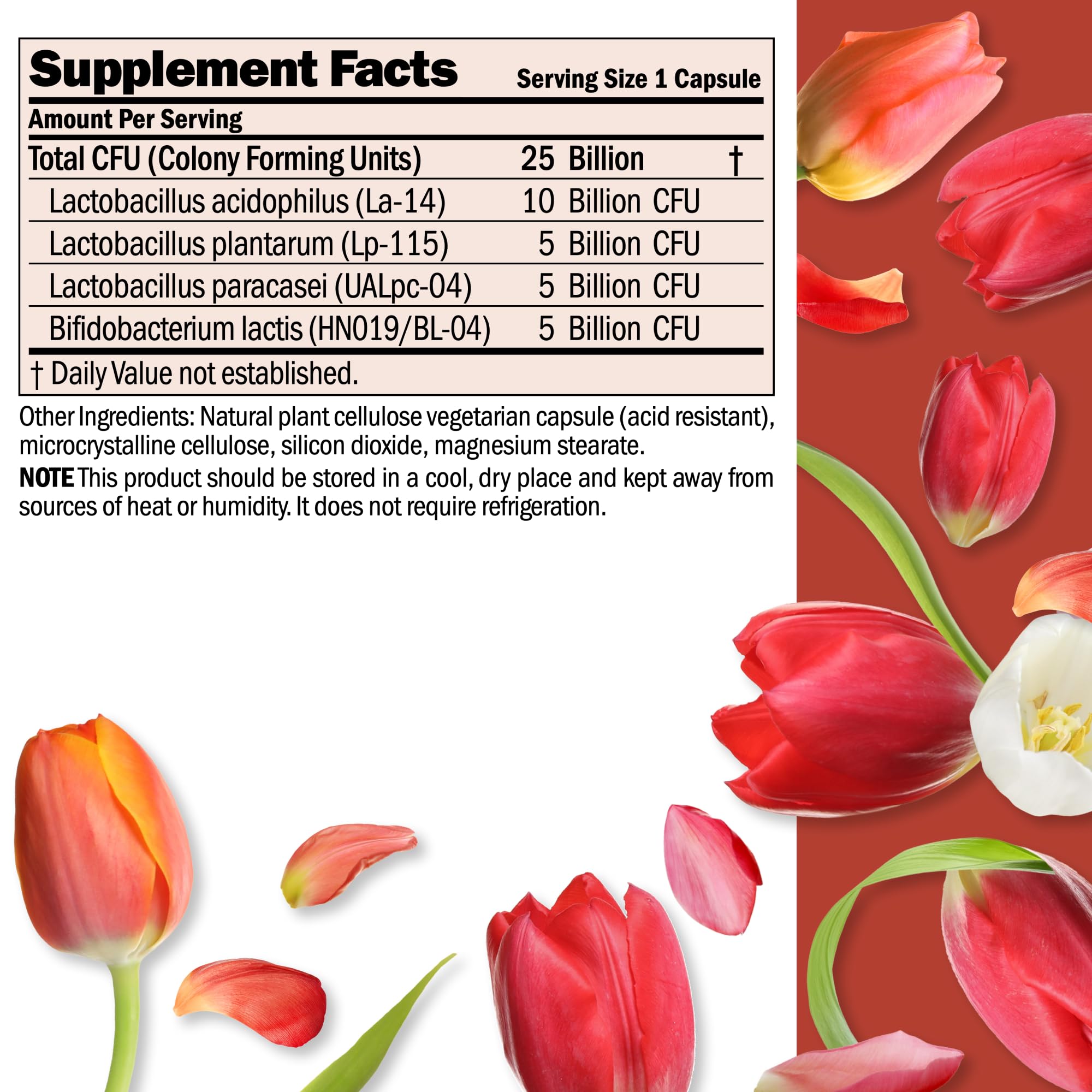 Andrew Lessman Ultimate Friendly Flora capsules closeup highlighting multi-strain formula for digestive support