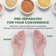 Angtai JN kit includes 200 capsules and 200 bodies for DIY batches.