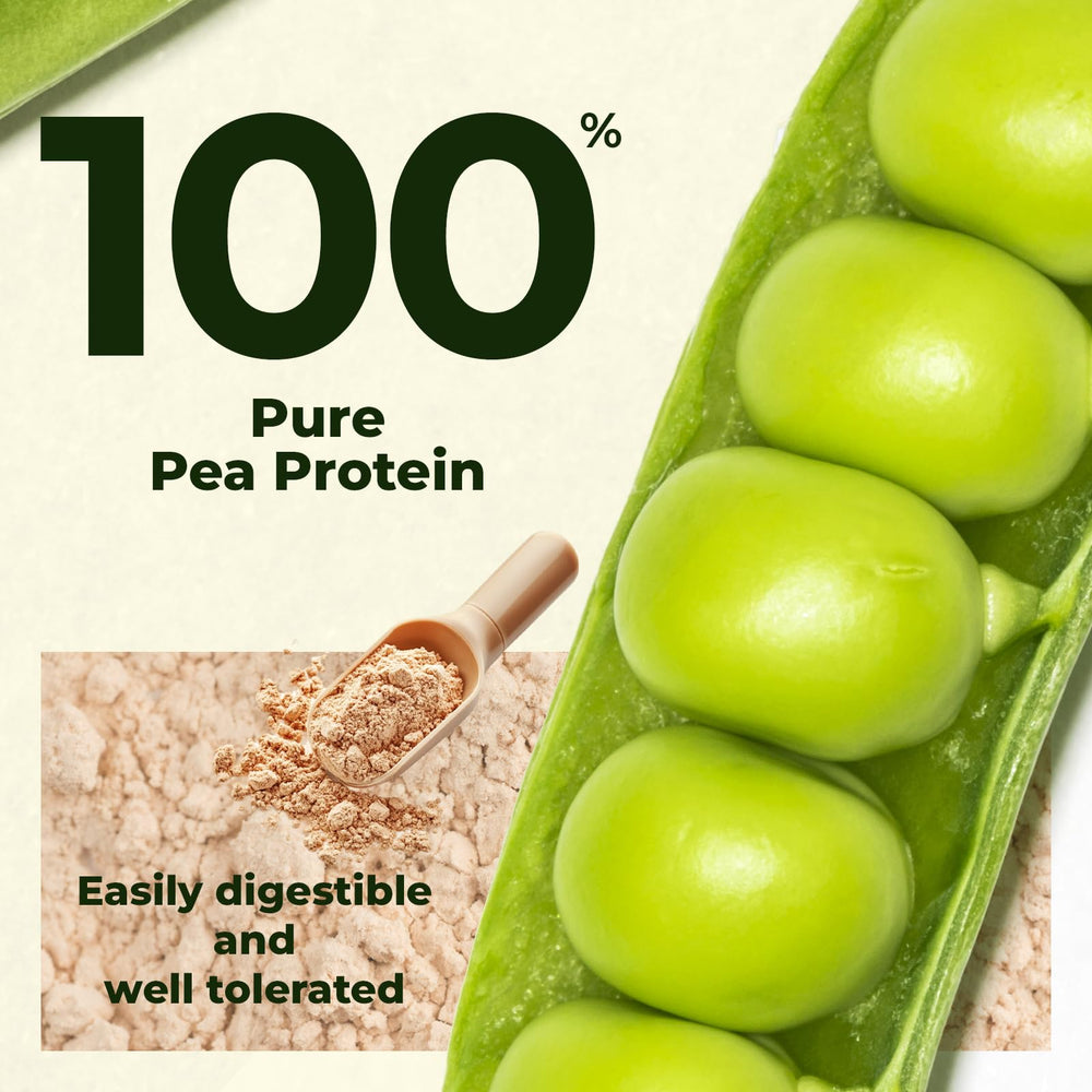 Angtai JN pea protein powder scoop ready for precise serving in shakes and smoothies.
